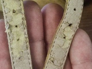 Botines tacón beige/amarillo/mostaza mujer