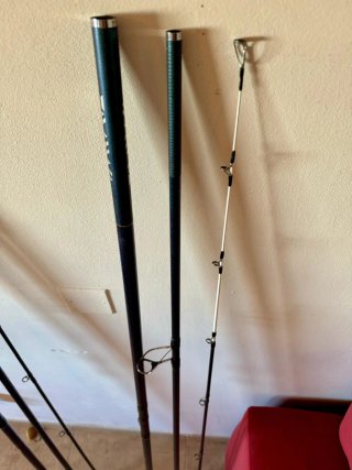 Cañas Surfcasting Tournament Masterise 33 425H
