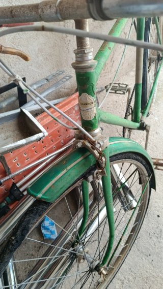 Bicicleta antigua verde