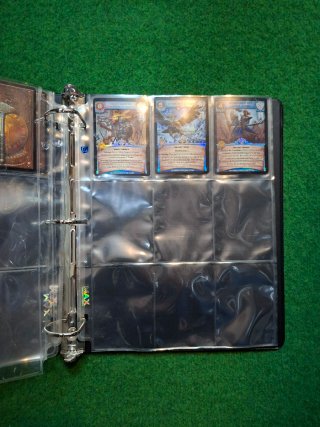 Álbum Cartas WarCry Champions Grand Alliance