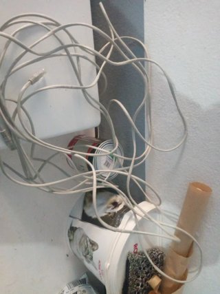 Cable de Red Ethernet Cat 5e 10 Metros