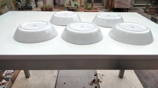 Set 5 piatti Thun ceramica diam 24 cm