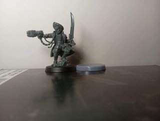Miniaturas Guardia Imperial