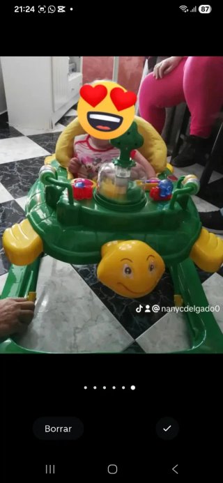 Tacatá tortuga bebé