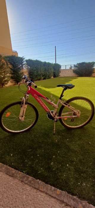 Bicicleta de Montaña Orbea Roja.de cadete.