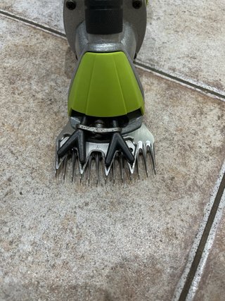 Tosaerba elettrica per pecore