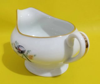 Salsera Limoges
