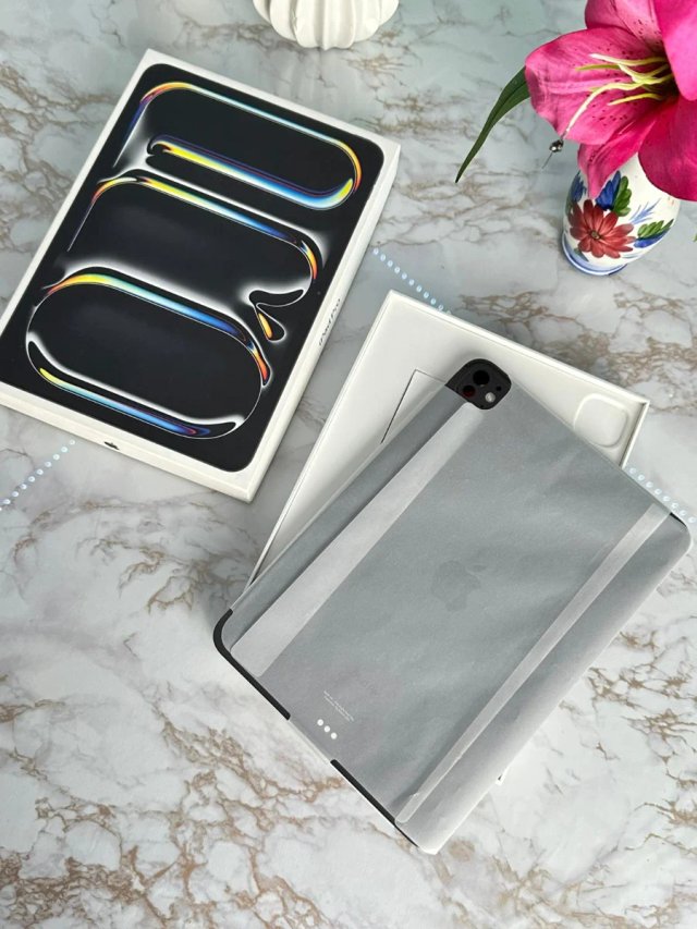 iPad Pro M4 (30 CICLOS)