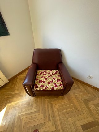 Muebles, lámparas, dormitorio, sofá y sillón.