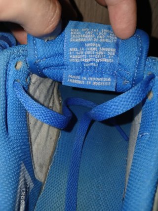 Nike Dunk Low Azul y Blanco