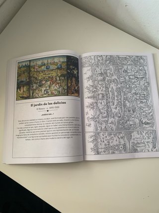 Libro colorear adultos