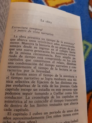 Cachorros Edición de Guadalupe Fernández Ariza