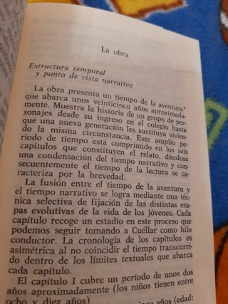Cachorros Edición de Guadalupe Fernández Ariza