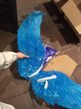 Lote Alas Plumas Adulto e Infantil