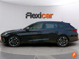 Cupra León SP 1.5 eTSI 110kW (150CV) DSG