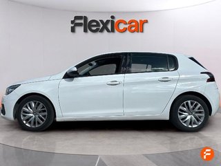 Peugeot 308 5P Business Line BlueHDi 100 S&S 6V MAN