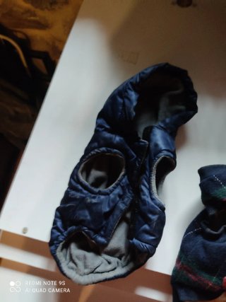 Ropa para perro Chihuahua