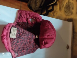 Ropa para perro Chihuahua