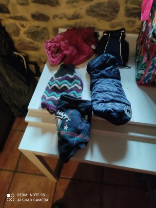 Ropa para perro Chihuahua