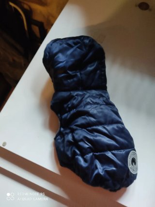 Ropa para perro Chihuahua