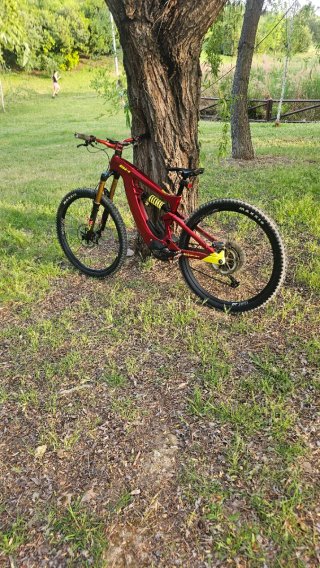 BH Atom 9.9 Enduro Horquilla Fox Kashima