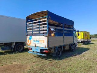 Camión DAF LF 45.220