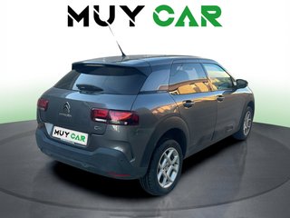 Citroen C4 Cactus PureTech 110 S&S Feel 81 kW (110 CV)