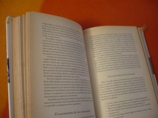 LAS DOCE PUERTAS ( DAN MILLMAN ) VIVIR VIDA PLENA