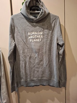 Sudadera gris con capucha