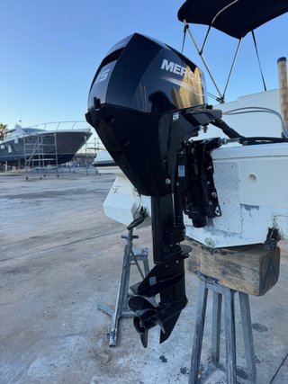 Mercury F15 ELP EFI Motor Fueraborda
