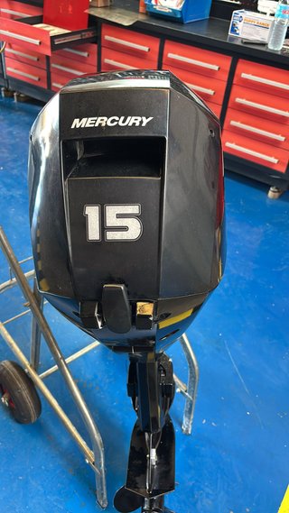 Mercury F15 ELP EFI Motor Fueraborda
