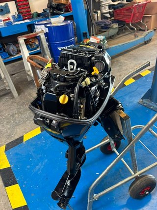 Mercury F15 ELP EFI Motor Fueraborda