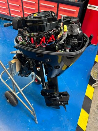 Mercury F15 ELP EFI Motor Fueraborda