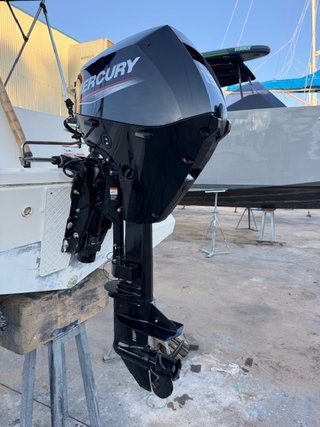 Mercury F15 ELP EFI Motor Fueraborda