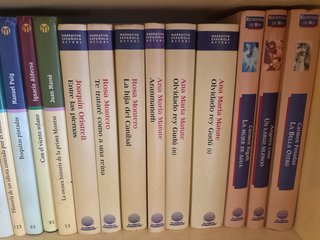 Lote de libros de narrativa Española