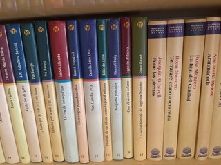 Lote de libros de narrativa Española
