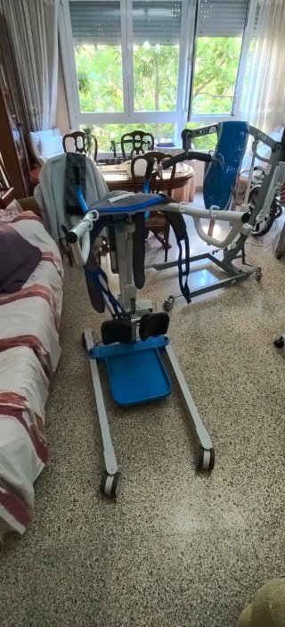 Grúa bipedestación