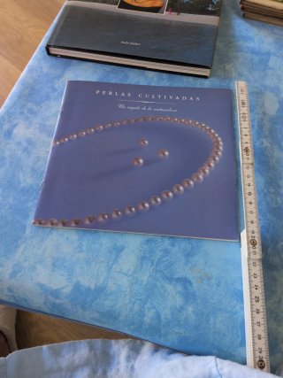 Libro ilustrativo se adjunta otro libro.