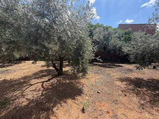Terreno en venta en La Zarzuela-San José-Belén en Linares