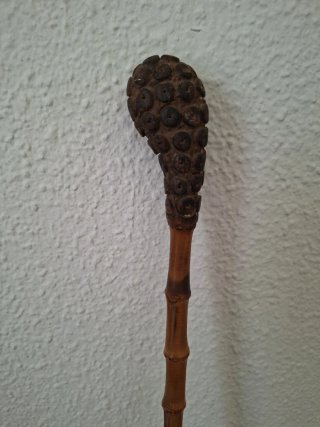 Baston artesanal de paseo