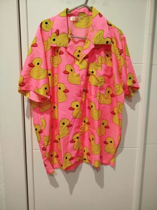 Camisa Estampada Patitos Rosa