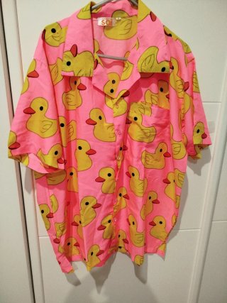 Camisa Estampada Patitos Rosa