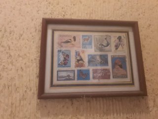 Lote 6 cuadros vintage sellos