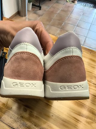 Sneakers Geox
