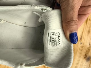 Sneakers Geox