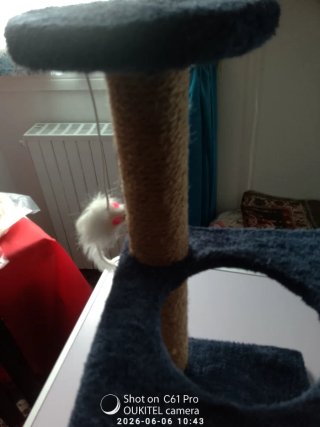 Tiragraffi per gatti con topo giocattolo