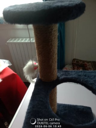 Tiragraffi per gatti con topo giocattolo