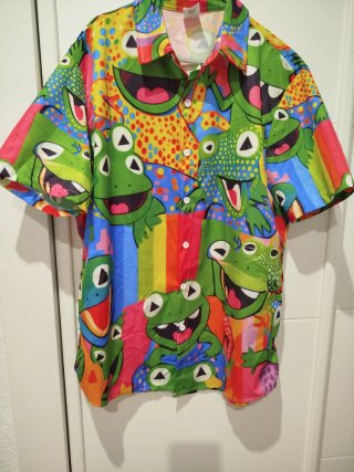 Camisa Hawaiana Rana Divertida