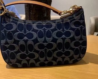 Borsa Coach Denim Monogram Donna - Aesthetic