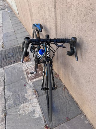 Bicicleta Giant Niño Ruedas 24